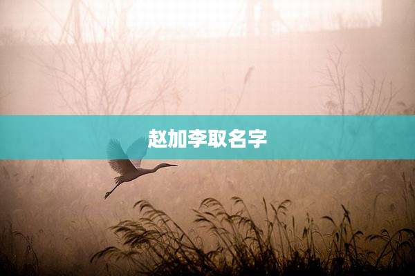 赵加李取名字