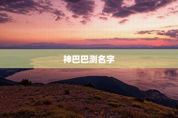 神巴巴测名字