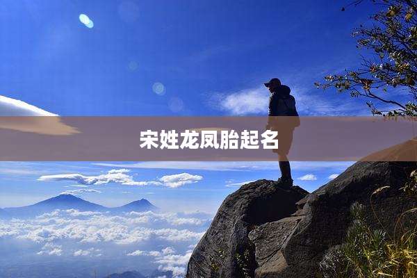 宋姓龙凤胎起名