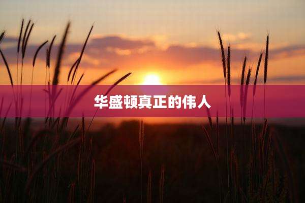 华盛顿真正的伟人