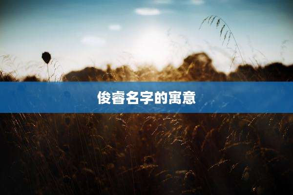 俊睿名字的寓意