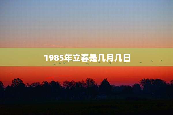 1985年立春是几月几日