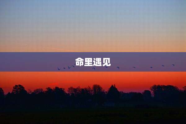命里遇见