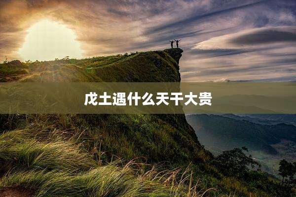 戊土遇什么天干大贵
