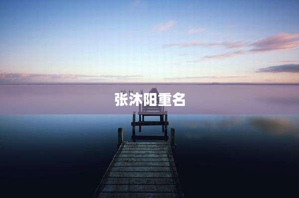 张沐阳重名