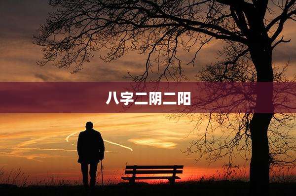 八字二阴二阳