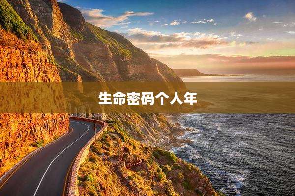 生命密码个人年