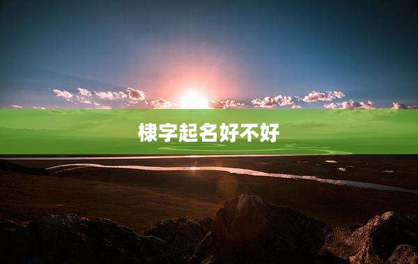 棣字起名好不好