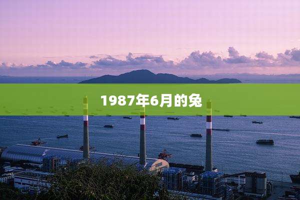 1987年6月的兔
