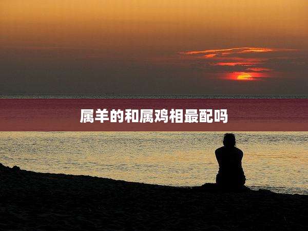 属羊的和属鸡相最配吗