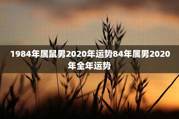 1984年属鼠男2020年运势84年属男2020年全年运势
