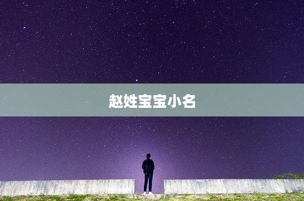 赵姓宝宝小名
