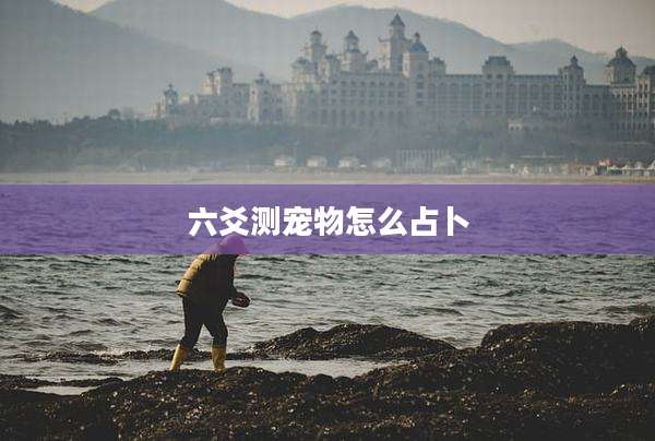 六爻测宠物怎么占卜