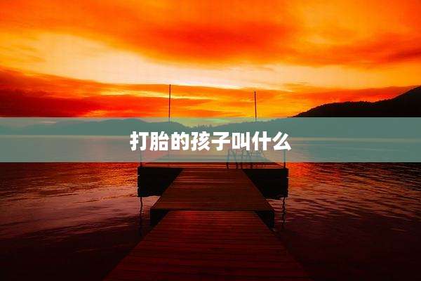 打胎的孩子叫什么