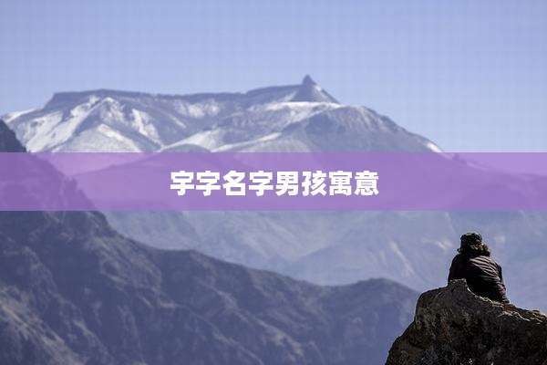 宇字名字男孩寓意