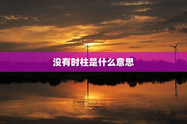没有时柱是什么意思
