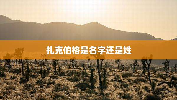 扎克伯格是名字还是姓