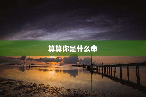 算算你是什么命