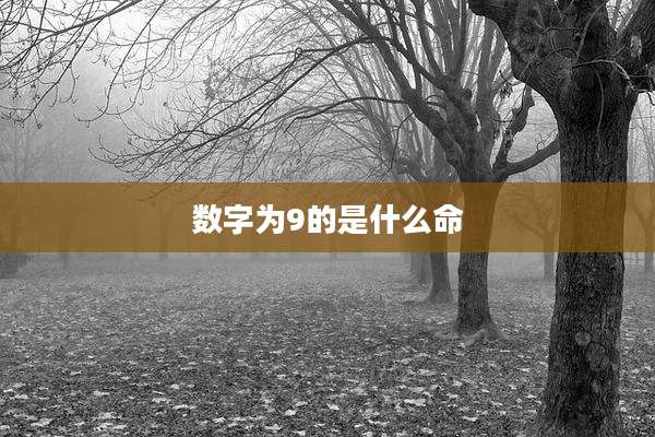 数字为9的是什么命