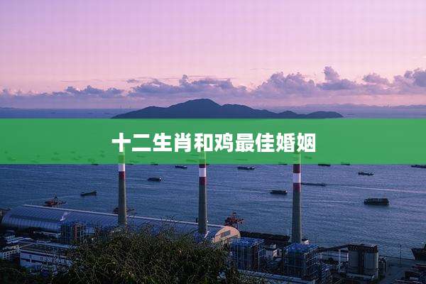 十二生肖和鸡最佳婚姻
