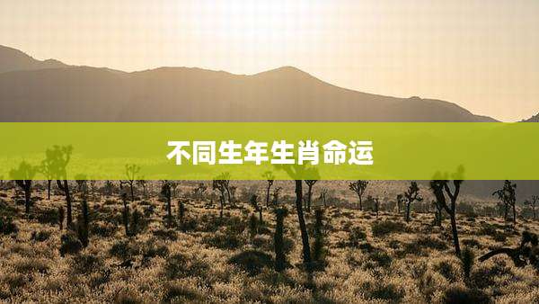 不同生年生肖命运