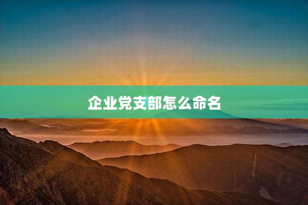 企业党支部怎么命名