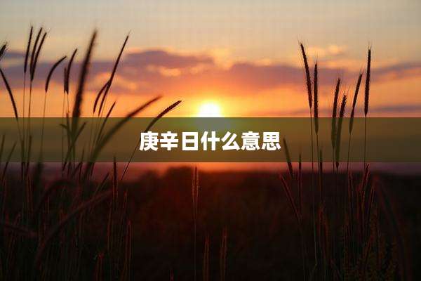 庚辛日什么意思