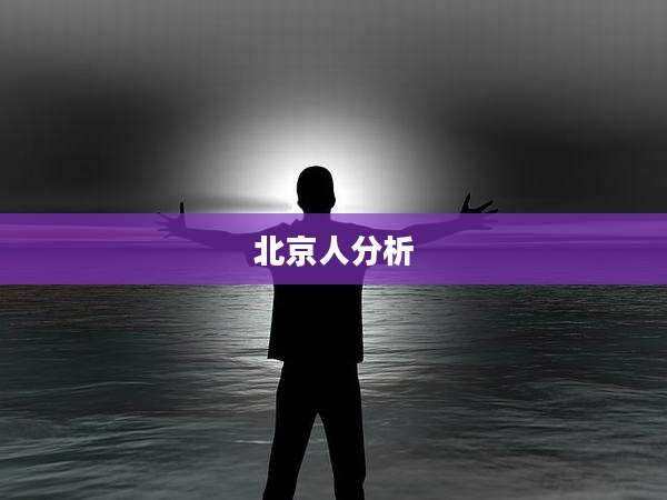 北京人分析