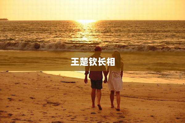王楚钦长相