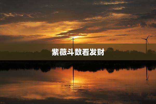 紫薇斗数看发财