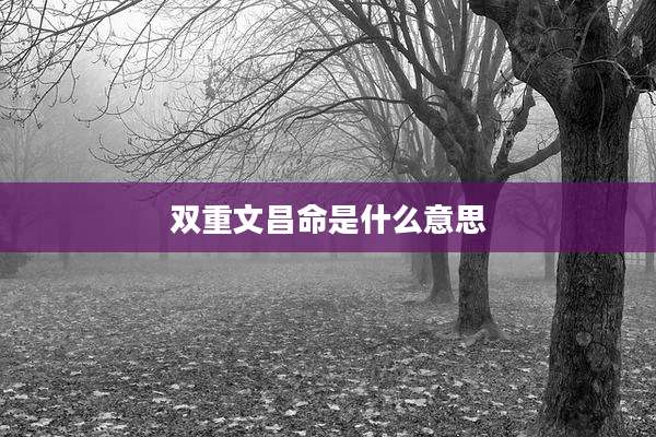 双重文昌命是什么意思
