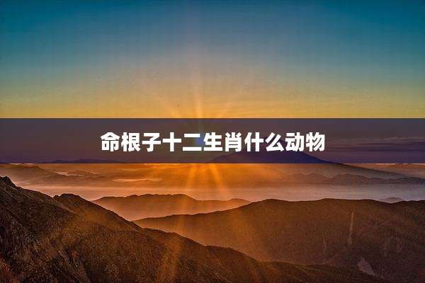 命根子十二生肖什么动物