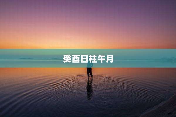 癸酉日柱午月