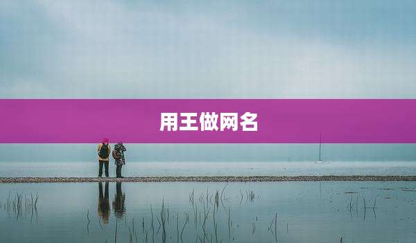 用王做网名