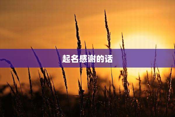 起名感谢的话