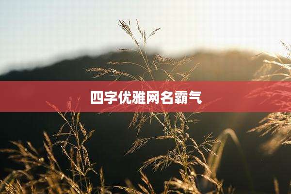 四字优雅网名霸气