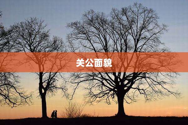 关公面貌