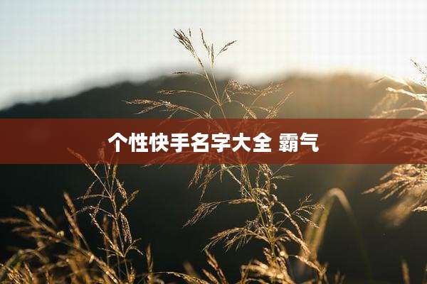 个性快手名字大全 霸气