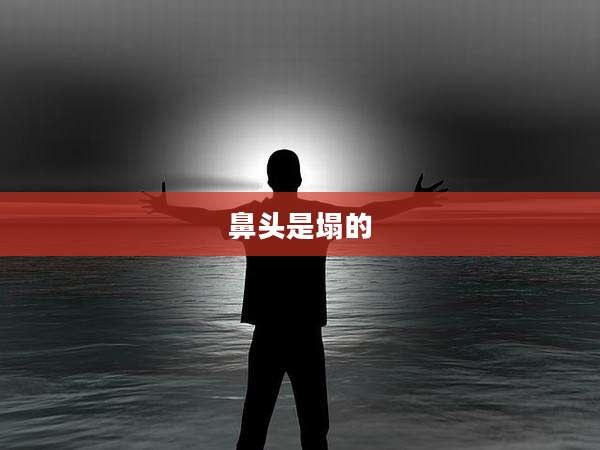 鼻头是塌的
