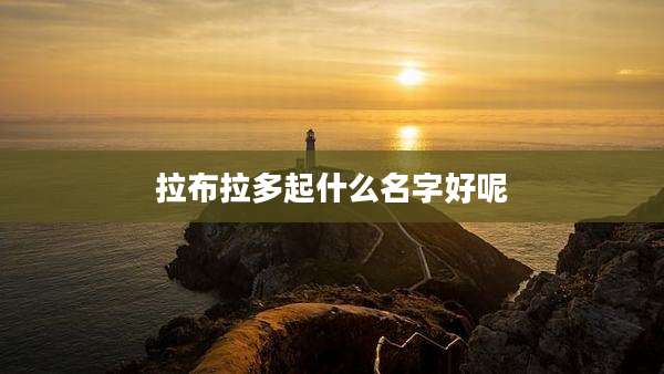 拉布拉多起什么名字好呢