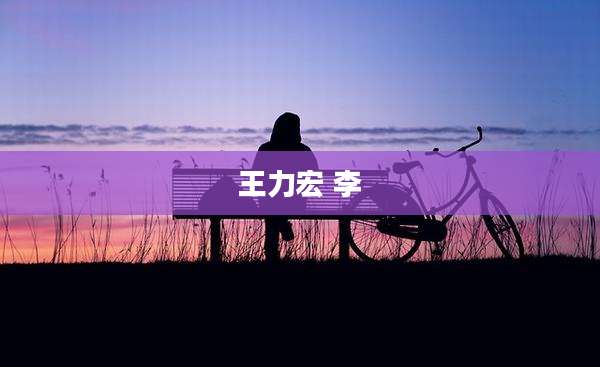 王力宏 李