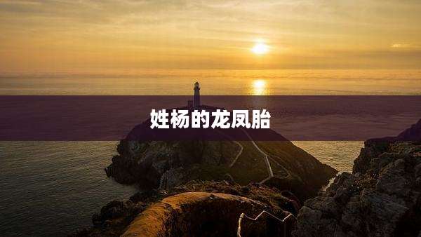 姓杨的龙凤胎