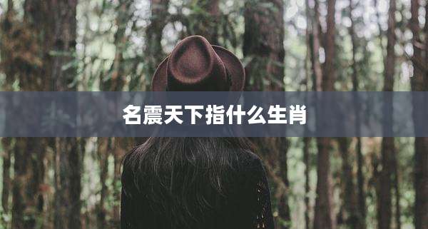 名震天下指什么生肖