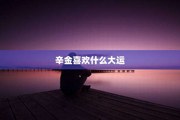 辛金喜欢什么大运