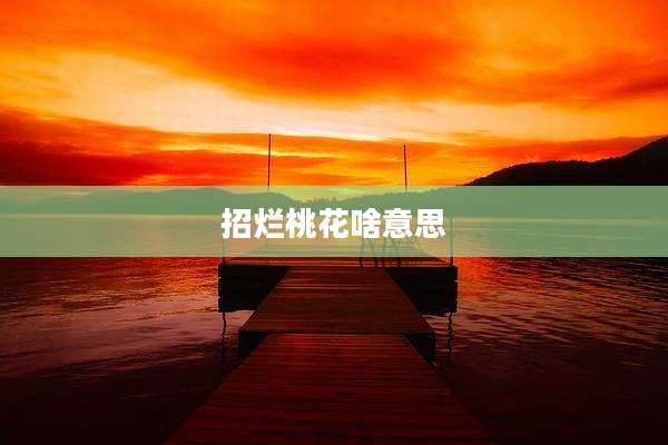招烂桃花啥意思