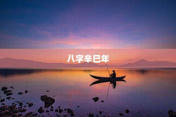 八字辛巳年