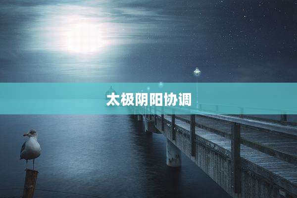 太极阴阳协调