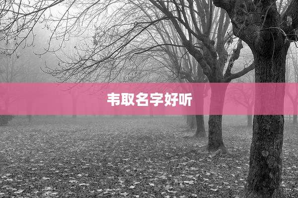 韦取名字好听