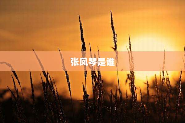 张凤琴是谁