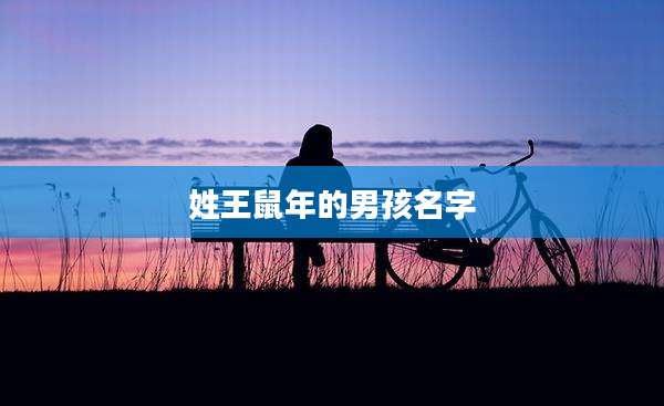 姓王鼠年的男孩名字